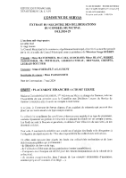 DEL2024-29_PLACEMENT FINANCIER A COURT TERME